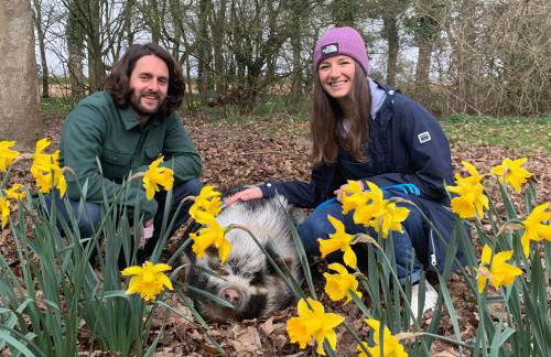 Starry Meadow & Rescued Animal Experiences - Foto 26