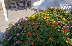 La casa al mare, Pittulongu - Photo 54