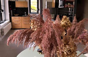 Le numéro 5 - Foto 1