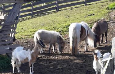 Ciasa Rü - Photo 15