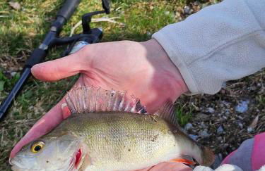 Le fournil à Mïette - Foto 44