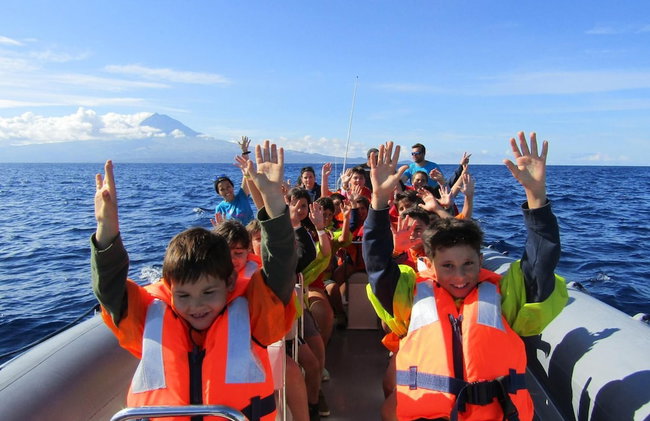 Azores Vacations Ponta Delgada Apartment T3 - Foto 33