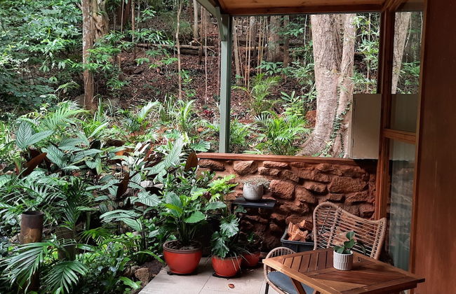 Treetops Accommodation Montville - Photo 42