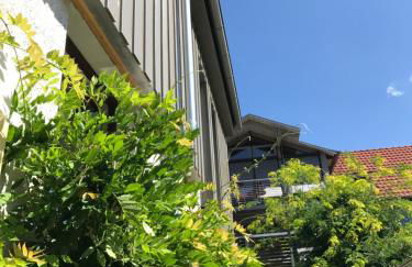 Blackbird´s Nest - Foto 34