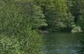 Zimmer und Apartment Rosi - Foto 49