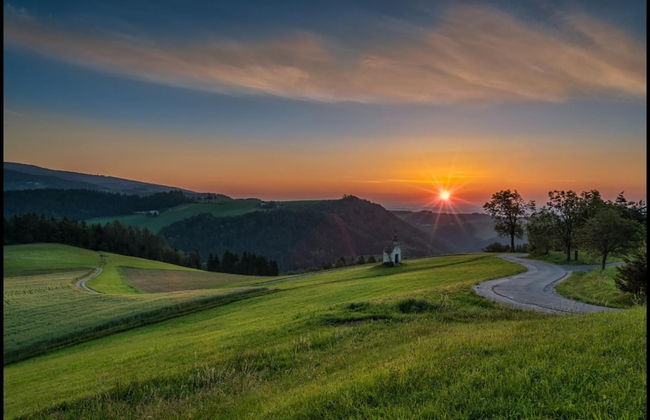 Apartmaji Koželj - Foto 17