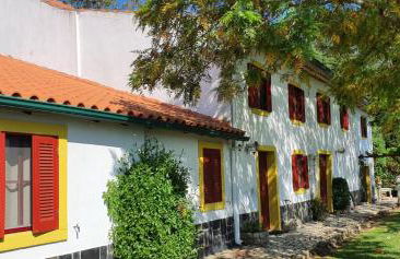 Quinta Flores - Foto 9