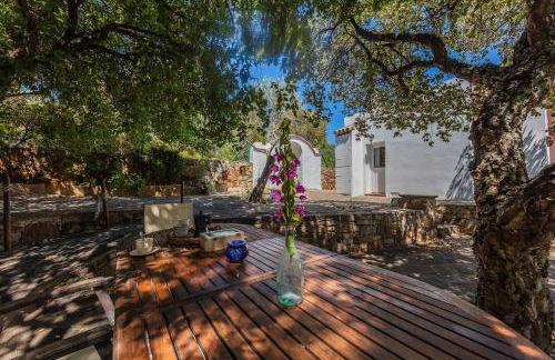 Casa Pájaro del Músico, Bolonia - Foto 71