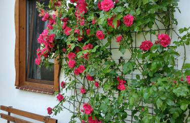 Wigierska Chatka - Foto 19