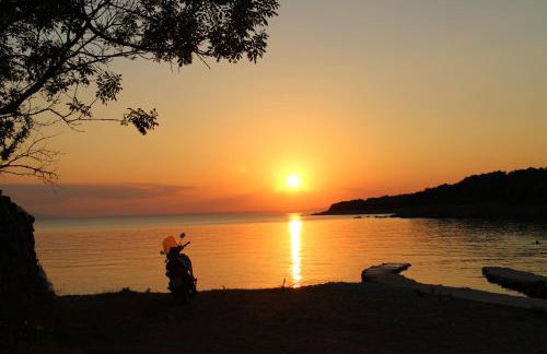 Apartmani Vesna - Foto 37