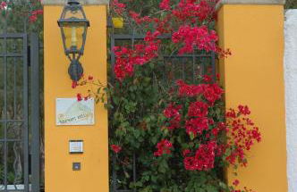 Villa Rosemary - Photo 38