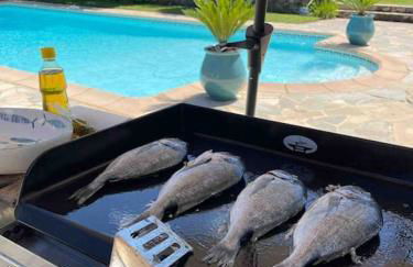 Villa Les Folies - magnifique jardin avec piscine - Foto 14