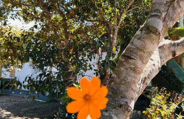 Flor e Luz Chalés - Foto 29