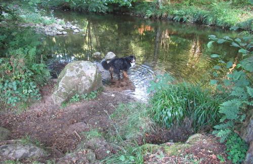Ferienwohnung Schönmünzblick - Photo 54