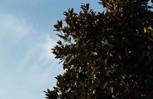 Casa villetta "La Colomba" Nizza Monferrato - Foto 62