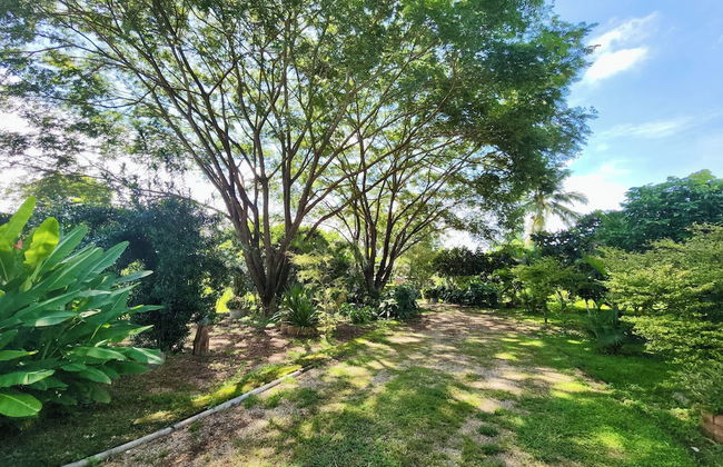 Natura Ravee Greenstay - Photo 60