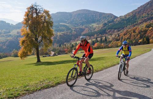 Zoncolan Apartments - Photo 18