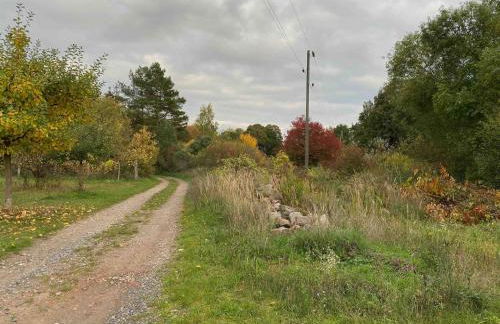 Buchbinderhof in Uckermark - Photo 22