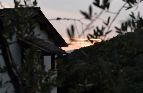 Agriturismo La Casuccia - Foto 13