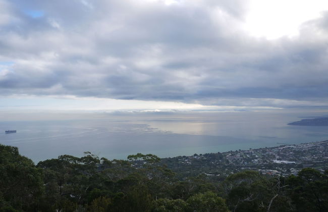 Summit Views - Photo 20