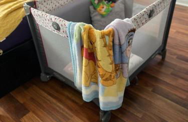 Lakefront Retreat 4BR-3BA Pool Home Near Disney - Foto 45