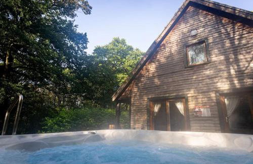 Denstone, woodland lodge with hot tub for 8 - Foto 15