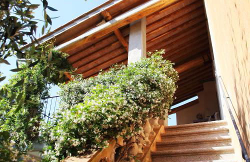 Agriturismo Montefabbrello - Foto 27