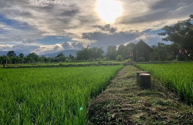 hueankwankhao - Photo 49