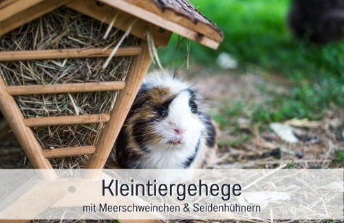 Bio Ferienhof Wichtelweide - Fewo Lavendel - Foto 23