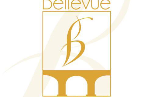 BELLEVUE APARTMENTS - Foto 20