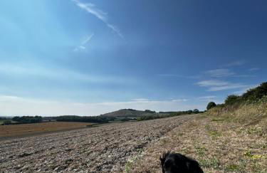 The Old Chapel - Photo 49