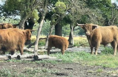 Kopice " Kowalczyk In Nature Parks Blue Velo" - Foto 31