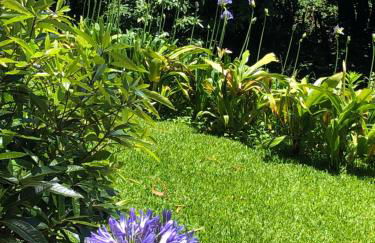 Quintinha de Palmyra - Foto 28