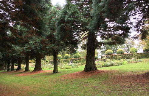 2-Zimmer-Ferienwohnung mit 2 Balkons - Golf, Bike & Wellness im Markgräflerland! - Foto 28