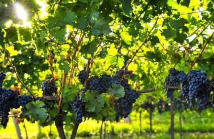 6-Bedroom Tudor in the Downtown Historic District - Foto 25