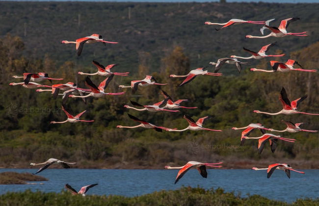 3178 Residence La Scogliera - Monolocale by Barbarhouse - Foto 16