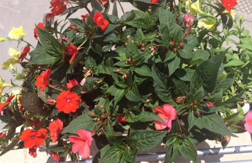 Adela Apartments - Beach Žnjan Split - Foto 75