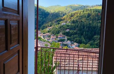 Forrest Guesthouse - Foto 8