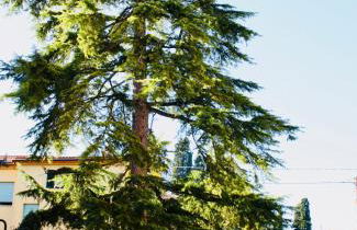 La Torre di Caprera - Photo 40