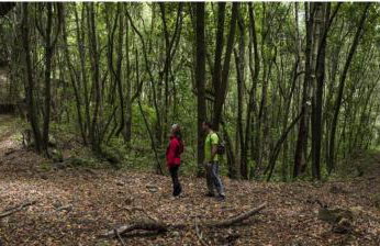 La Fortaleza - Foto 48