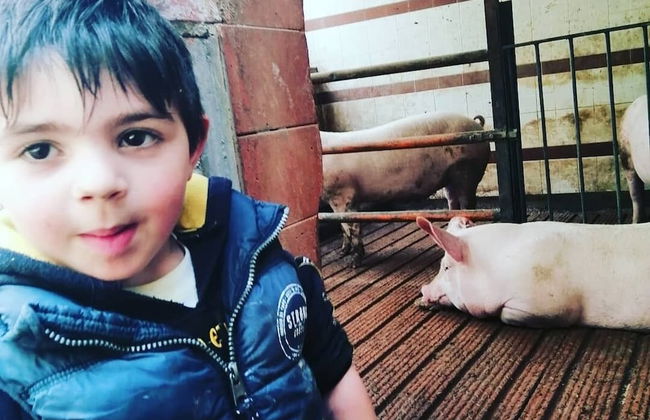 Agriturismo Castanito - Foto 42