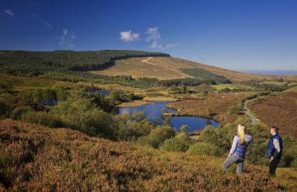 The Home House - Photo 30