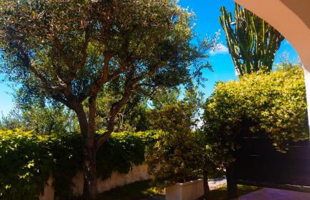 Appartamenti Luongo - Foto 42