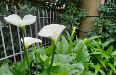 Creativ hause - Foto 25