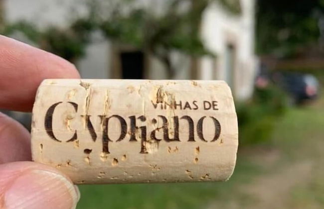 Quinta de Cypriano - Wine & Nature - Foto 61