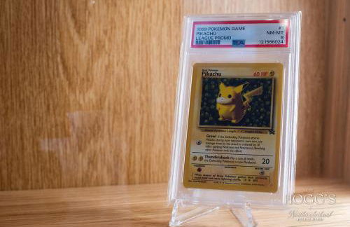 Hoggs Wellness Retreat Sauna & Jacuzzi - Foto 26