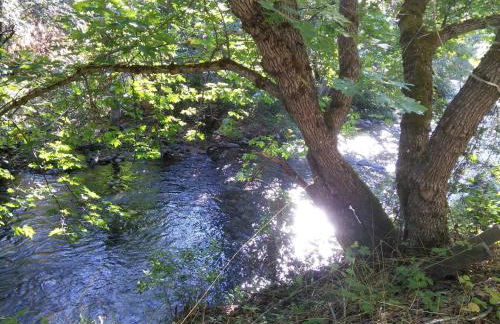 Rustic Caravan Getaway on a Creek in the Klamath National Forest of California - Foto 6