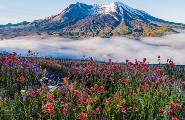 Excursion au Mont St Helens - Photo 2