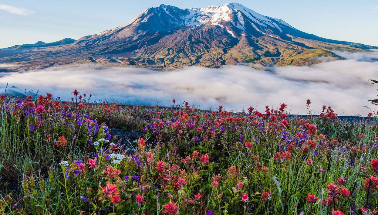 Excursion au Mont St Helens
