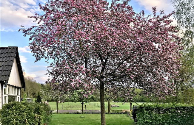 Homely Apartment in Noordwolde With Balcony - Foto 47